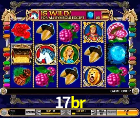 VIP Casino 17br